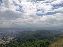 -长虫山生态公园风景林