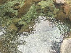 -鄣山大峡谷