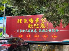 -鲤鱼塘农家山庄