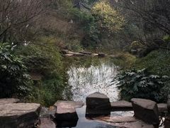 -杭州半山国家森林公园