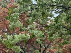 -江南大学(蠡湖校区)