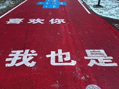 -黛秀湖公园