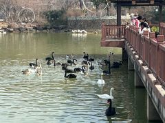 -无锡动物园·太湖欢乐园