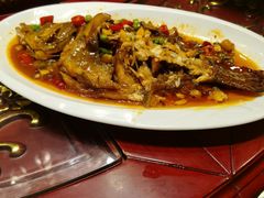 -博雅渔港·融合菜(维也纳国际大酒店)
