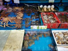-渔人码头(洛溪店)