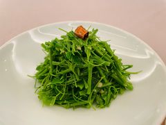 辣木苗-玖味(老工人西路店)