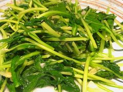 清炒板藍根-松茸小馆·云南特色餐厅