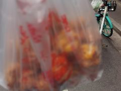 -陶记正宗德州扒鸡(科巷店)