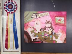 -柴犬高等学院·狗咖·柴犬售卖·宠物训练