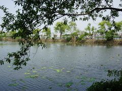 -无锡蠡湖国家湿地公园-蠡园