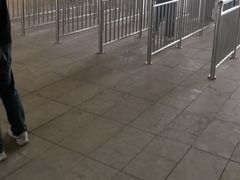 -千年银杏谷文化旅游区