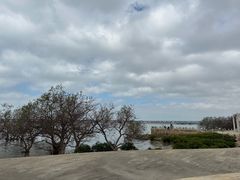 -宝安西湾红树林湿地公园