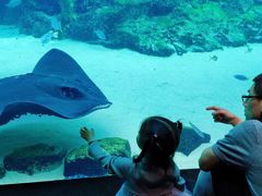 -西海国立公园九十九岛水族馆