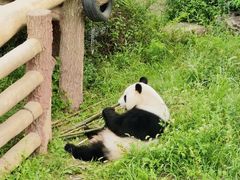 -沈阳森林动物园