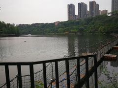 -重庆彩云湖湿地公园