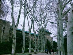 -武汉大学-樱园