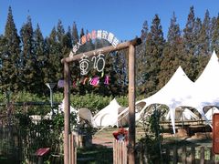 -前小桔亲子创意农场·草莓采摘·露营烧烤