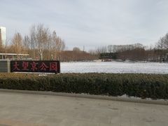 -大望京公园