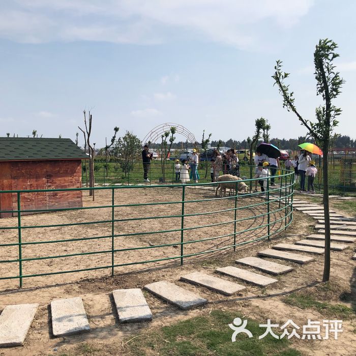 永安孔雀园图片-北京公园-大众点评网