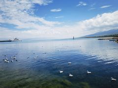 -青海湖国家重点风景名胜区