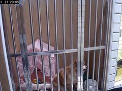 -熊小胖宠物生活馆(天华园店)