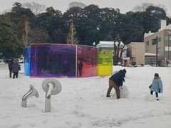 -金泽21世纪美术馆