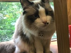 -咖法森林·咖啡  酒吧(天河店)