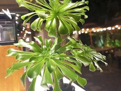 -云里小坐·小院里·团建·宴请·下午茶(三圣乡店)