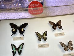 -中国湿地博物馆