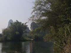 -遇龙河大樟树农家乐