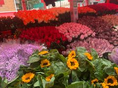 -越秀西湖花市(广州城市广场花卉店)