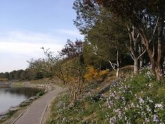 -北京大学-燕南食堂