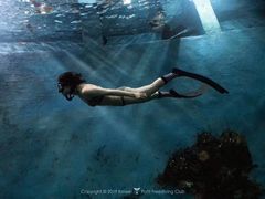 -苏州海洋馆