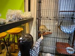 -七叔是岛民(花基新村店)