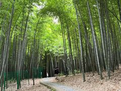 -宝岩生态观光园