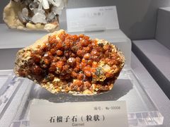 -湖南省地质博物馆