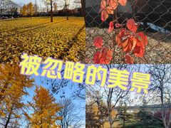 -北极寺公园