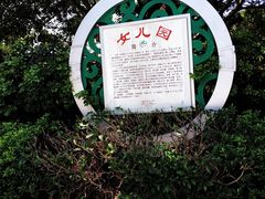 -仙岳公园