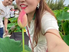 -白洋淀景区