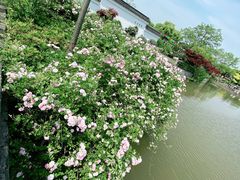 -嬉乐湾休闲旅游区