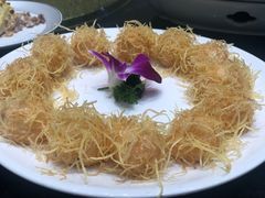 -丁老爷子苏香圆