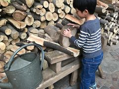 -三鹰之森吉卜力美术馆