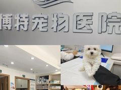 -博特宠物医院24h犬猫全科.骨科·异宠