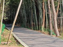 -冶父山国家森林公园