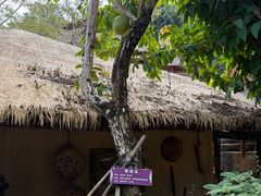 -海南槟榔谷黎苗文化旅游区