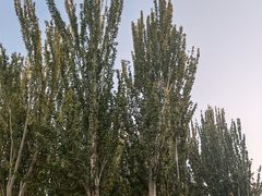 -东湖公园