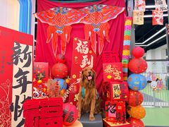 -全心全意动物诊疗中心医院(北苑店)