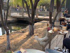 -春风习习