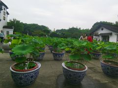 -无锡蠡湖国家湿地公园-蠡园