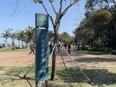-野狸岛